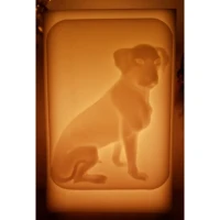 Köpek Fi̇gürlü İçi̇ Boş Mum 17.5 Cm X 19 Cm X 30 Cm