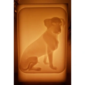 Köpek Fi̇gürlü İçi̇ Boş Mum 17.5 Cm X 19 Cm X 30 Cm